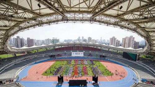 携手走进上海体育场 2024中国坐标 上海站将举办