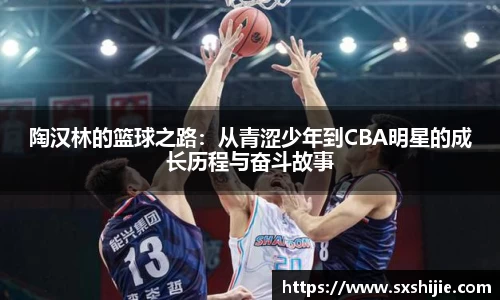 陶汉林的篮球之路:从青涩少年到CBA明星的成长历程与奋斗故事